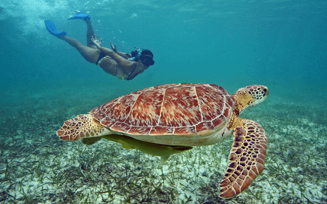 Transportation to Akumal from Isla Mujeres